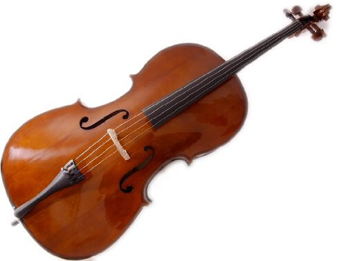 Stentor Cello