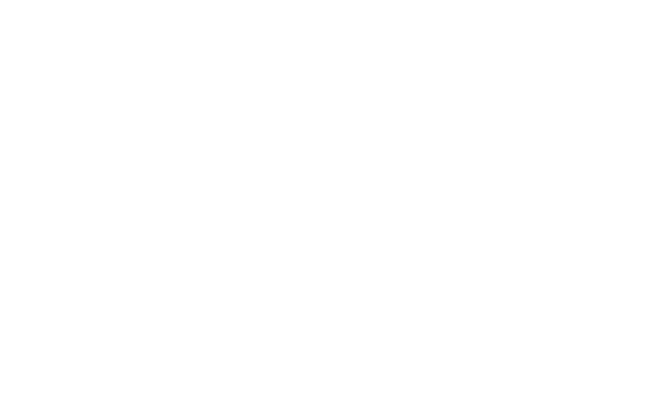 Trevor james flutes